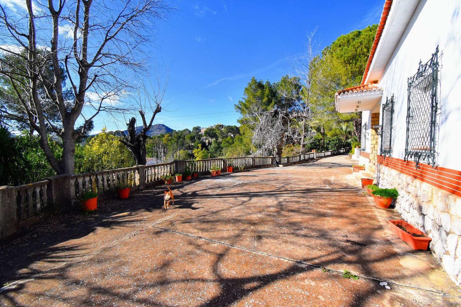 5 slaapkamer Villa te koop in Xativa met zwembad - € 420.000 (Ref: 8734234)