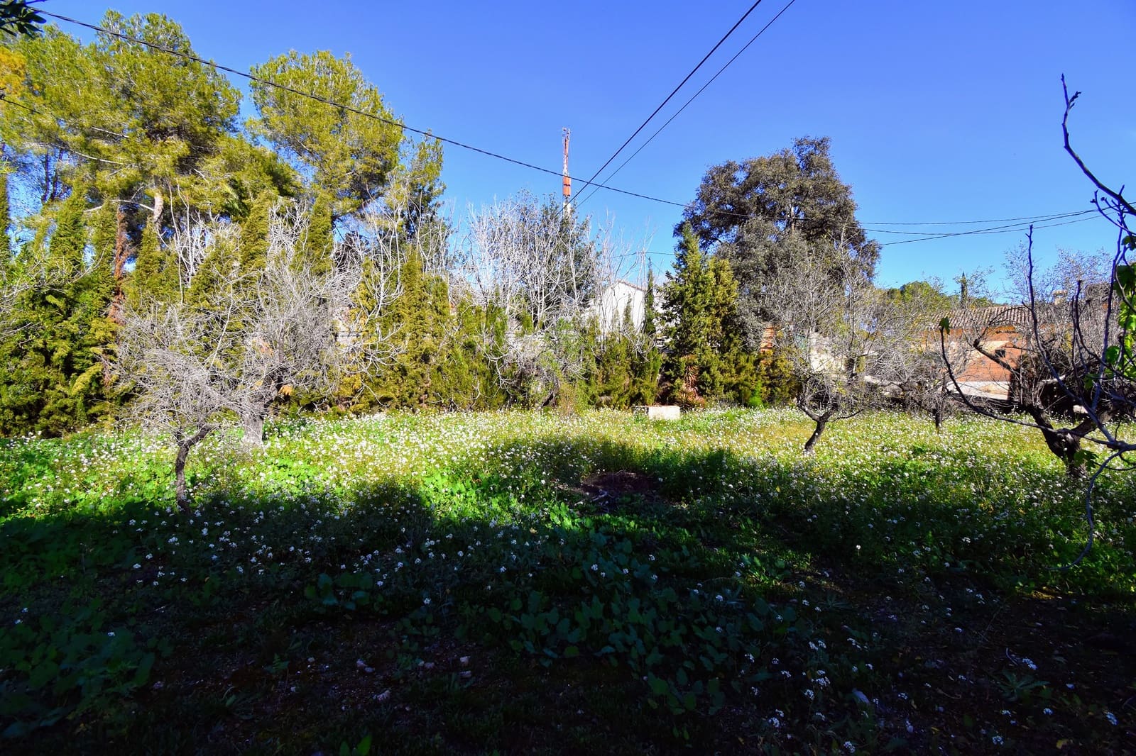 5 slaapkamer Villa te koop in Xativa met zwembad - € 420.000 (Ref: 8734234)