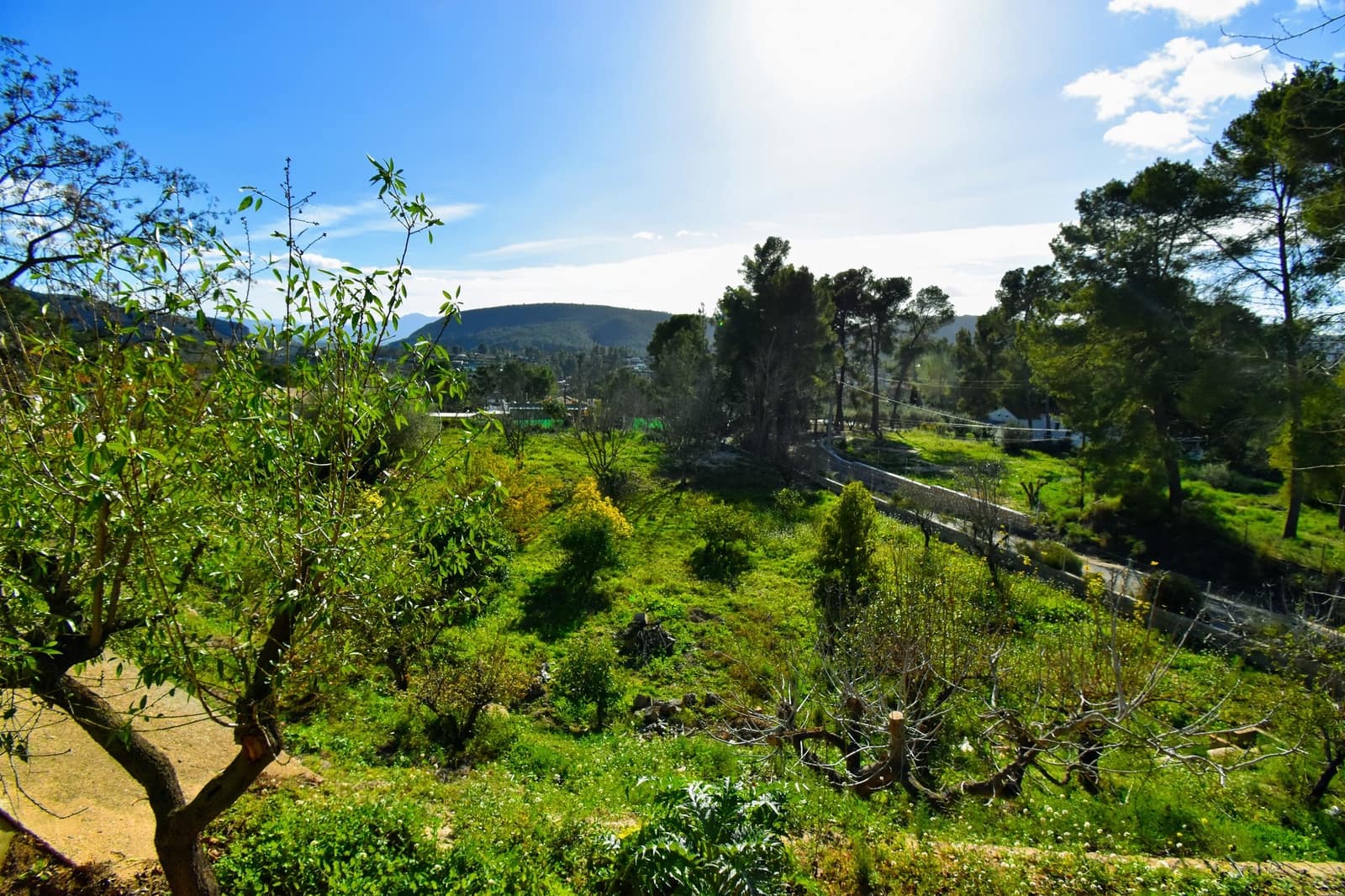 5 slaapkamer Villa te koop in Xativa met zwembad - € 420.000 (Ref: 8734234)