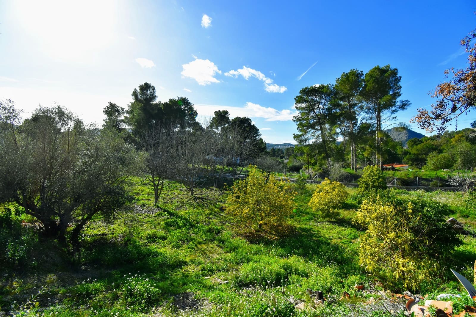 5 slaapkamer Villa te koop in Xativa met zwembad - € 420.000 (Ref: 8734234)