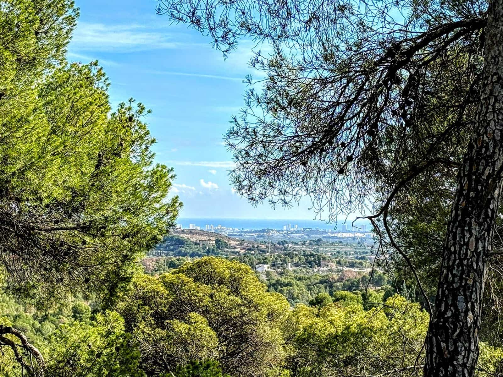 3 sovrum Villa till salu i Albalat dels Tarongers med pool - 260 000 € (Ref: 8769262)