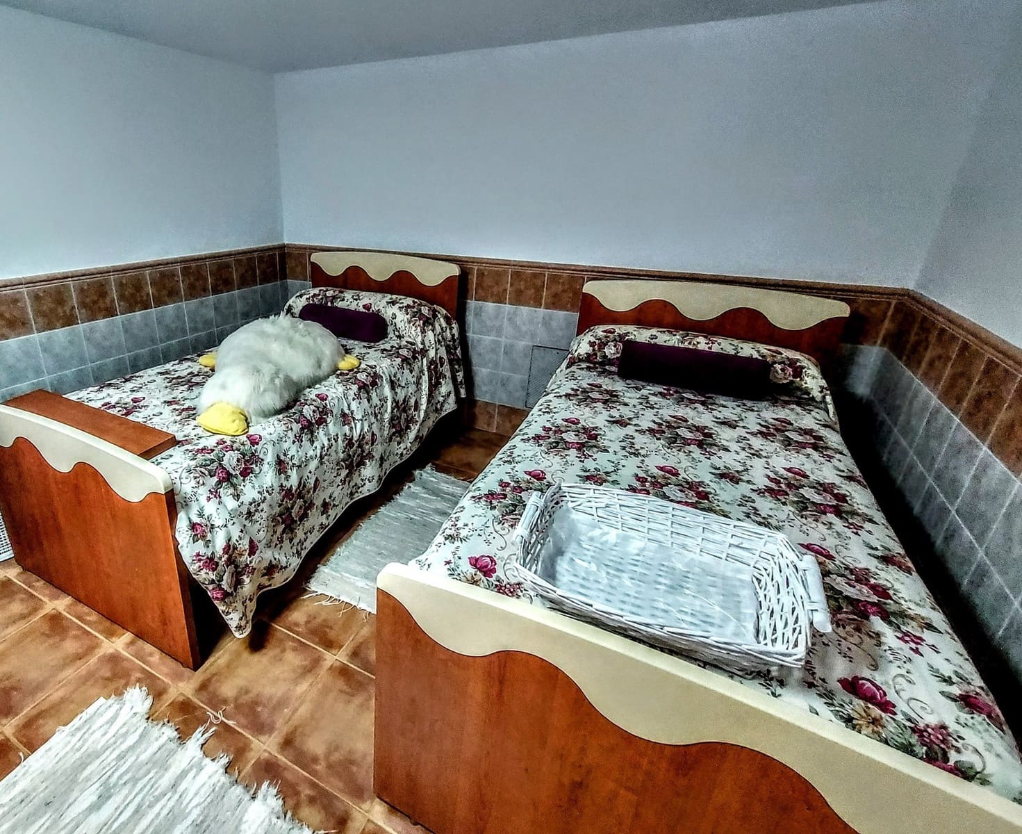 5 sypialnia Willa na sprzedaż w Alberic z basenem - 415 000 € (Ref: 9148088)