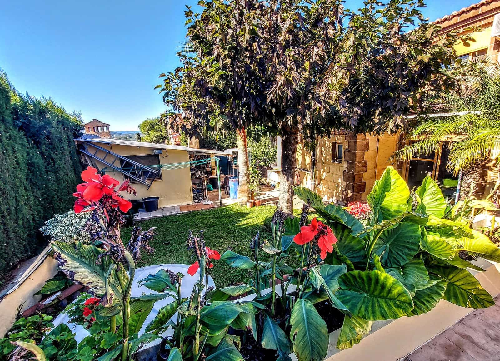 4 soveværelse Villa til salg i Montserrat med swimmingpool - € 550.000 (Ref: 9347014)