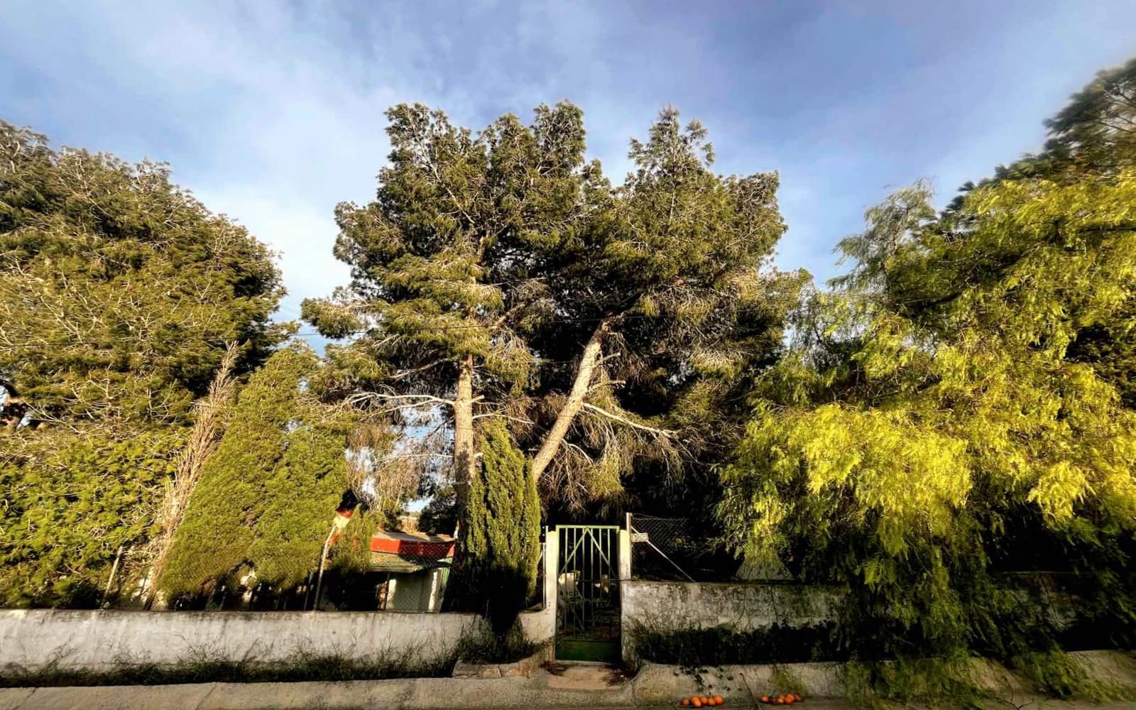 2 soverom Villa til salgs i Montserrat med svømmebasseng - € 100 000 (Ref: 9615185)