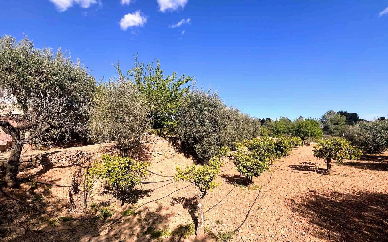 7 bedroom Villa for sale in Montserrat with pool - € 950,000 (Ref: 9758599)