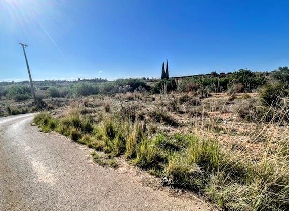 Undeveloped Land for sale in Montroy - € 14,900 (Ref: 9941791)
