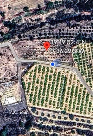Undeveloped Land for sale in Montroy - € 14,900 (Ref: 9941791)