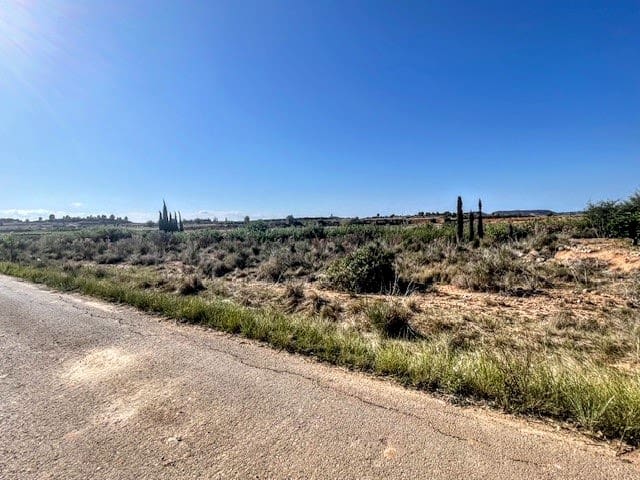 Undeveloped Land for sale in Montroy - € 14,900 (Ref: 9941791)