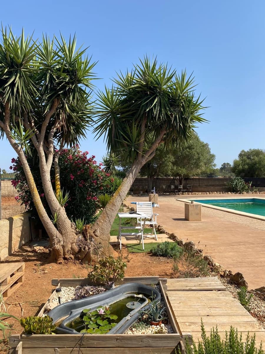 Maison de Ville de 5 chambres à louer à Algaida avec piscine - 3 000 € (Ref: 10019920)