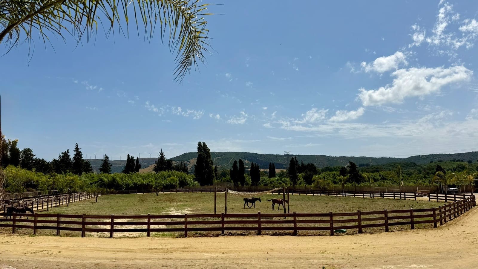 Finca/Herregård til salgs i Jimena de la Frontera - € 650 000 (Ref: 10025643)