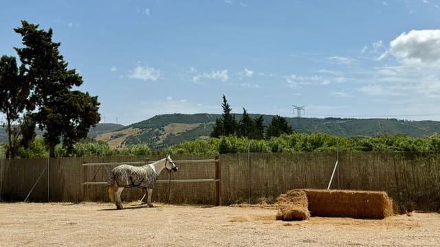 Finca/Herregård til salgs i Jimena de la Frontera - € 650 000 (Ref: 10025643)