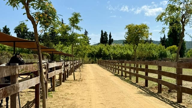 Finca/Herregård til salgs i Jimena de la Frontera - € 650 000 (Ref: 10025643)