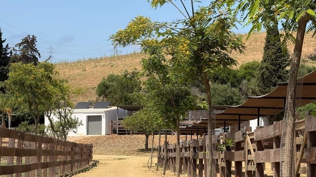 Finca/Herregård til salgs i Jimena de la Frontera - € 650 000 (Ref: 10025643)