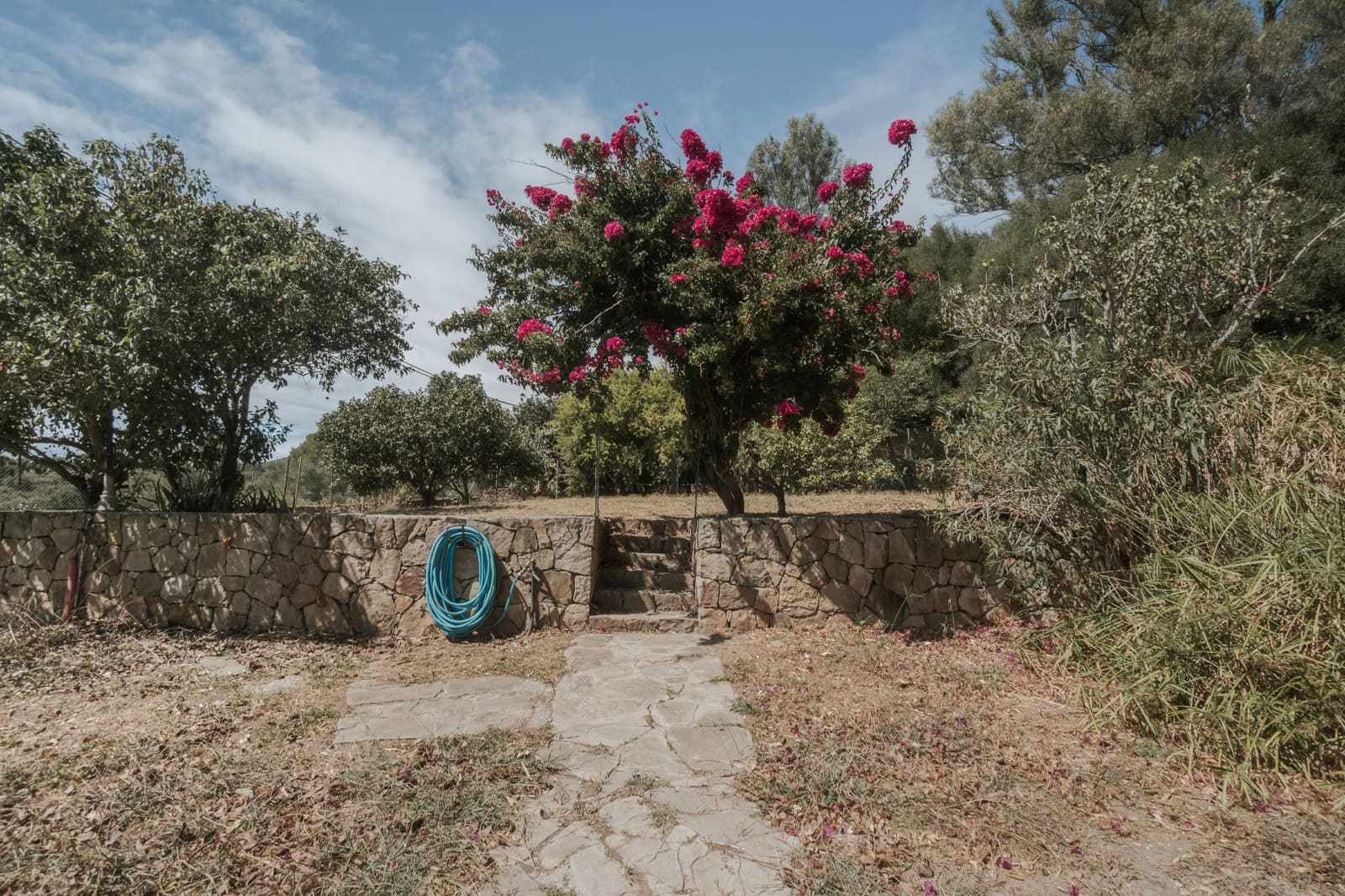3 bedroom Finca/Country House for sale in Tarifa with pool - € 485,000 (Ref: 10030737)
