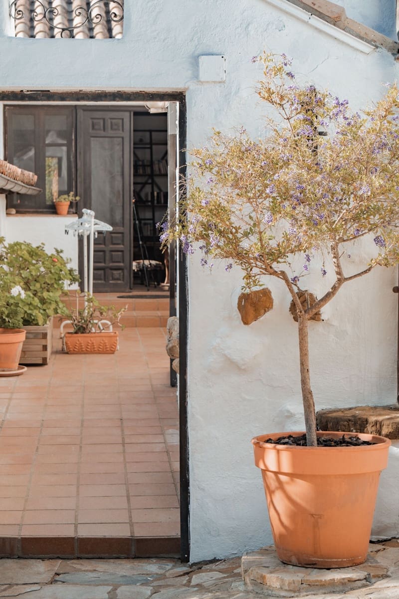 5 camera da letto Finca/Casa di Campagna in vendita in Tarifa con piscina - 2.500.000 € (Rif: 10034321)