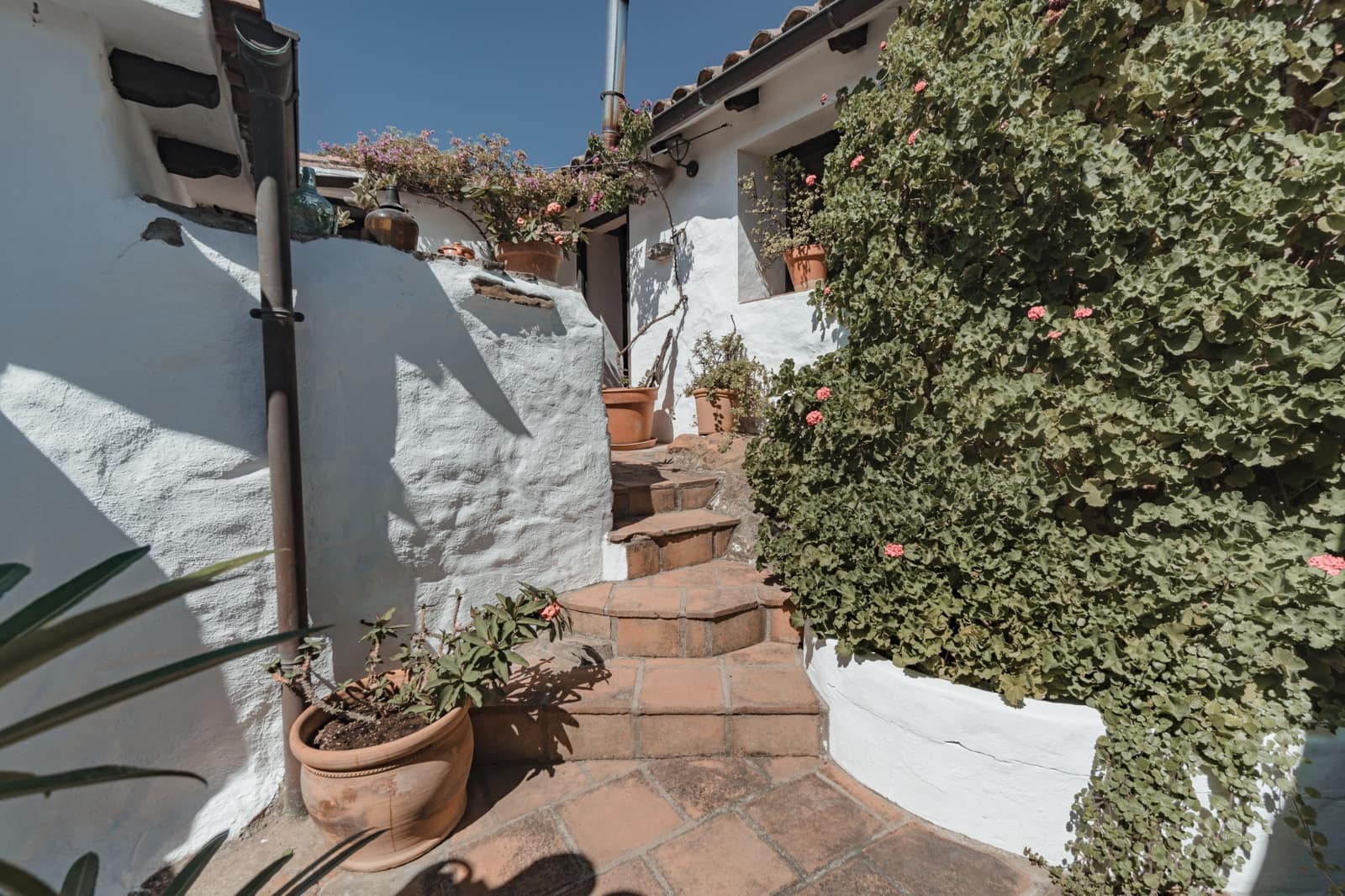 5 bedroom Finca/Country House for sale in Tarifa with pool - € 2,500,000 (Ref: 10034321)
