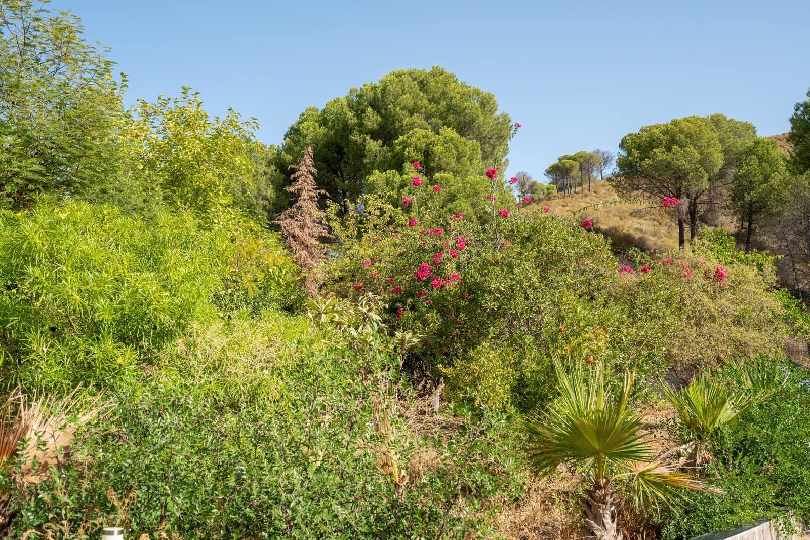 3 soverom Finca/Herregård til salgs i Casarabonela med svømmebasseng - € 425 000 (Ref: 10049665)