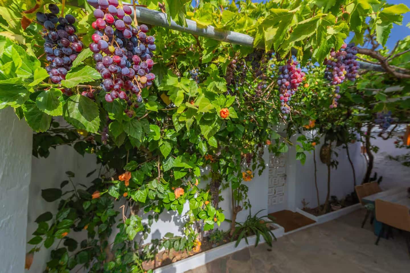 Finca/Landgut zu verkaufen in Tarifa mit Pool - 950.000 € (Ref: 10062769)