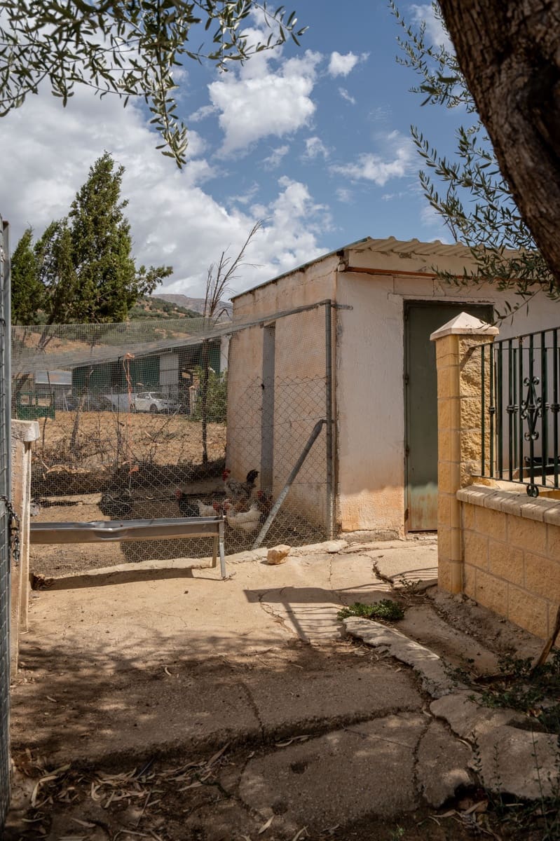 Finca/Casa Rural de 4 habitaciones en Periana en venta - 1.190.000 € (Ref: 10070252)
