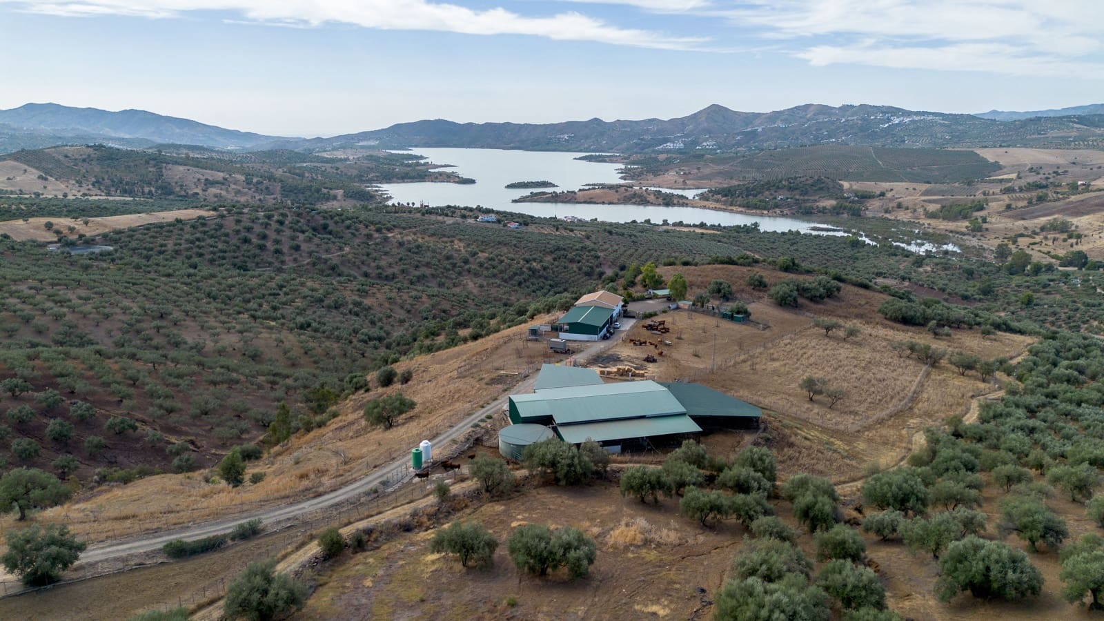 Finca/Casa Rural de 4 habitaciones en Periana en venta - 1.190.000 € (Ref: 10070252)
