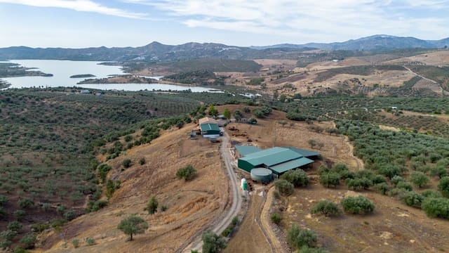 Finca/Casa Rural de 4 habitaciones en Periana en venta - 1.190.000 € (Ref: 10070252)