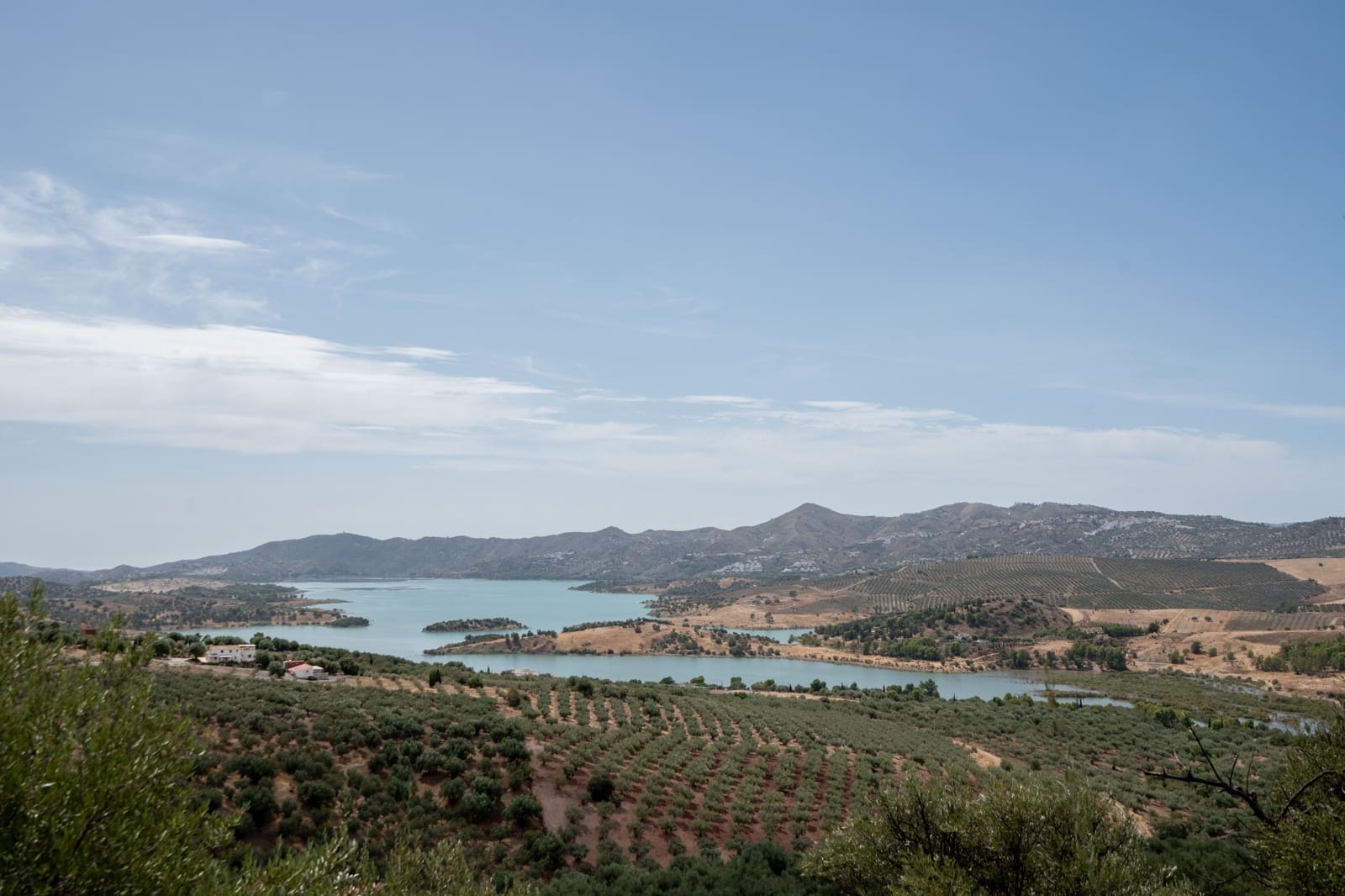 Finca/Casa Rural de 4 habitaciones en Periana en venta - 1.190.000 € (Ref: 10070252)