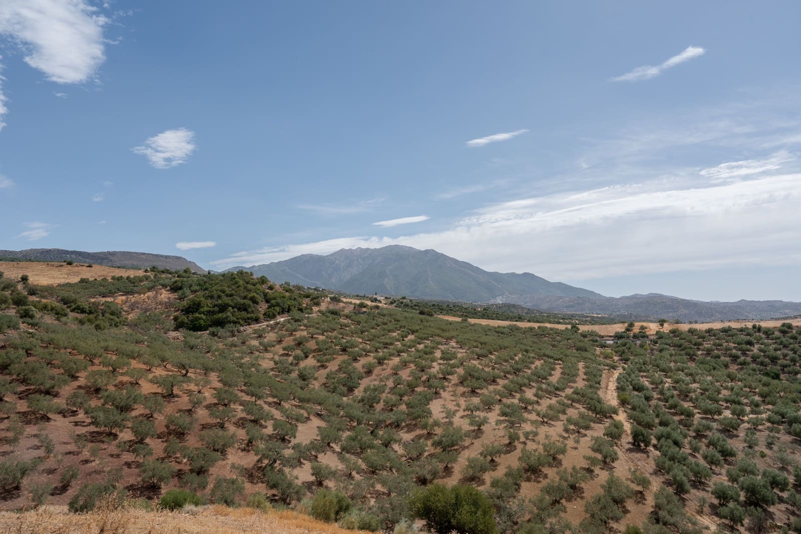 Finca/Casa Rural de 4 habitaciones en Periana en venta - 1.190.000 € (Ref: 10070252)