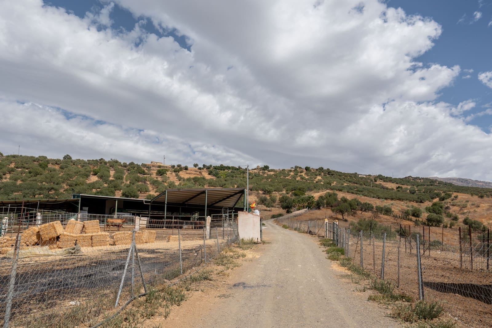 Finca/Casa Rural de 4 habitaciones en Periana en venta - 1.190.000 € (Ref: 10070252)