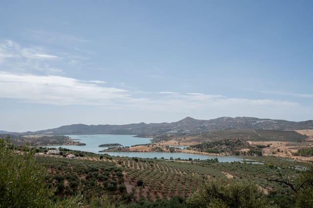 Finca/Casa Rural de 4 habitaciones en Periana en venta - 1.190.000 € (Ref: 10070252)