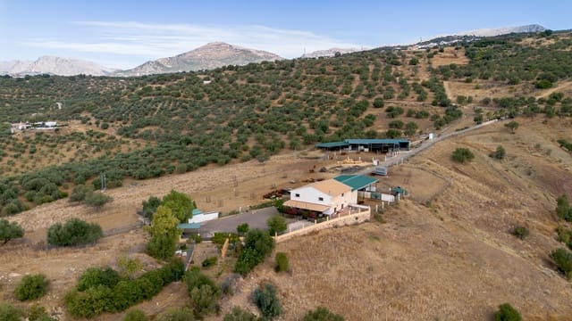 Finca/Casa Rural de 4 habitaciones en Periana en venta - 1.190.000 € (Ref: 10070252)