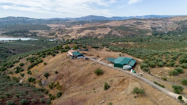 Finca/Casa Rural de 4 habitaciones en Periana en venta - 1.190.000 € (Ref: 10070252)