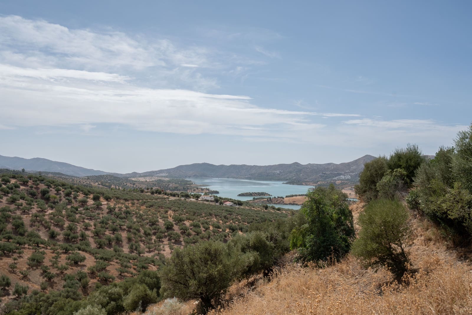 Finca/Casa Rural de 4 habitaciones en Periana en venta - 1.190.000 € (Ref: 10070252)