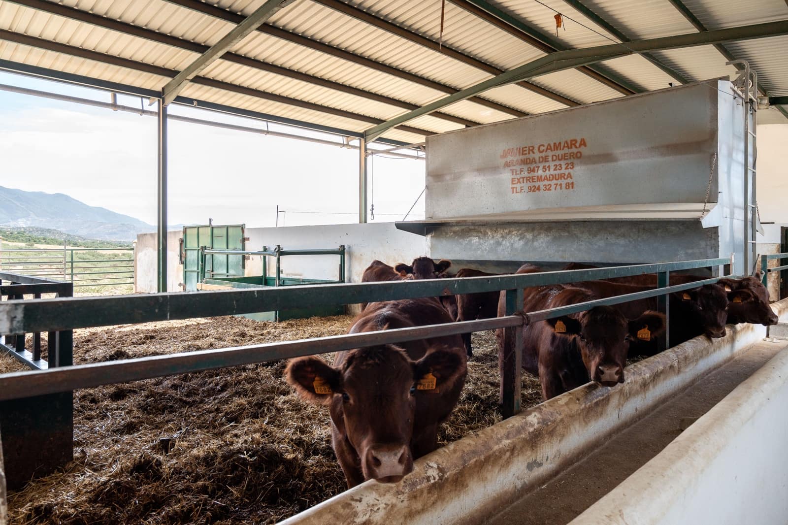 Finca/Casa Rural de 4 habitaciones en Periana en venta - 1.190.000 € (Ref: 10070252)
