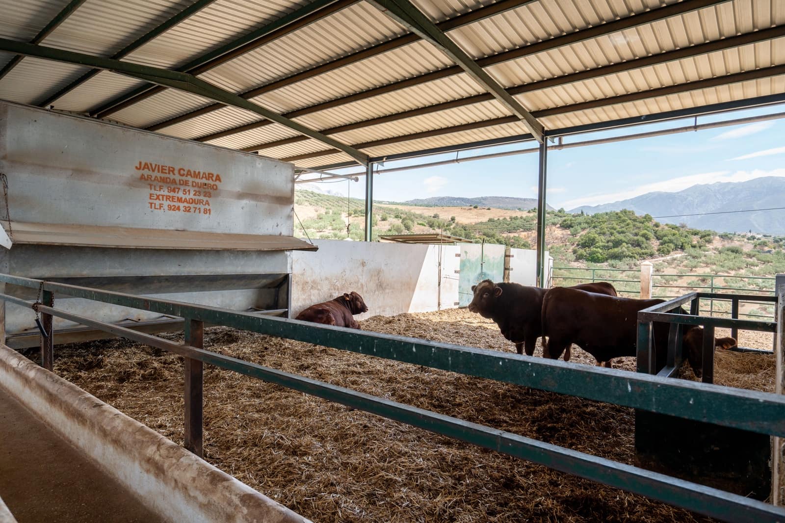 Finca/Casa Rural de 4 habitaciones en Periana en venta - 1.190.000 € (Ref: 10070252)