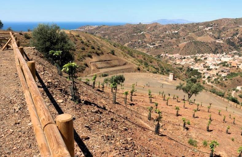 10 bedroom Finca/Country House for sale in Rincon de la Victoria - € 2,500,000 (Ref: 10076959)