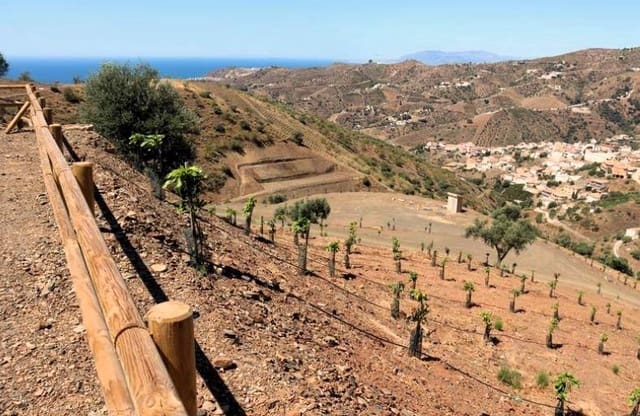 10 bedroom Finca/Country House for sale in Rincón de la Victoria - € 2,500,000 (Ref: 10076959)