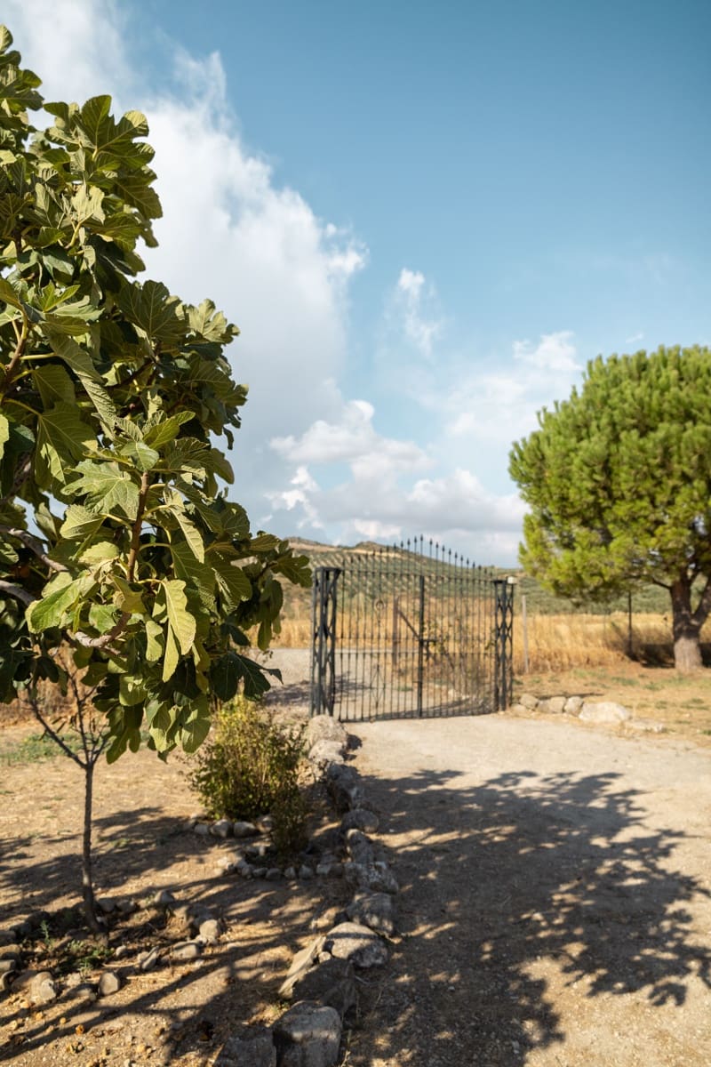 Finca/Casa Rural de 3 habitaciones en Antequera en venta con piscina garaje - 395.000 € (Ref: 10100096)