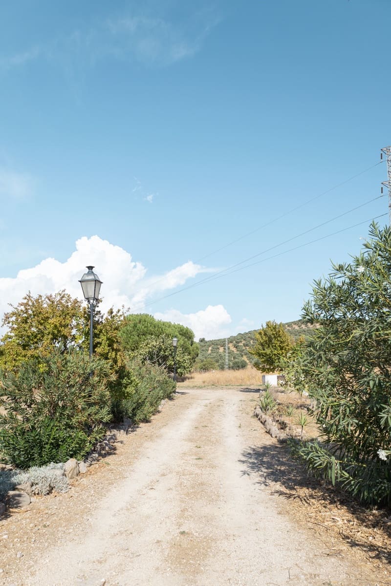 Finca/Casa Rural de 3 habitaciones en Antequera en venta con piscina garaje - 395.000 € (Ref: 10100096)