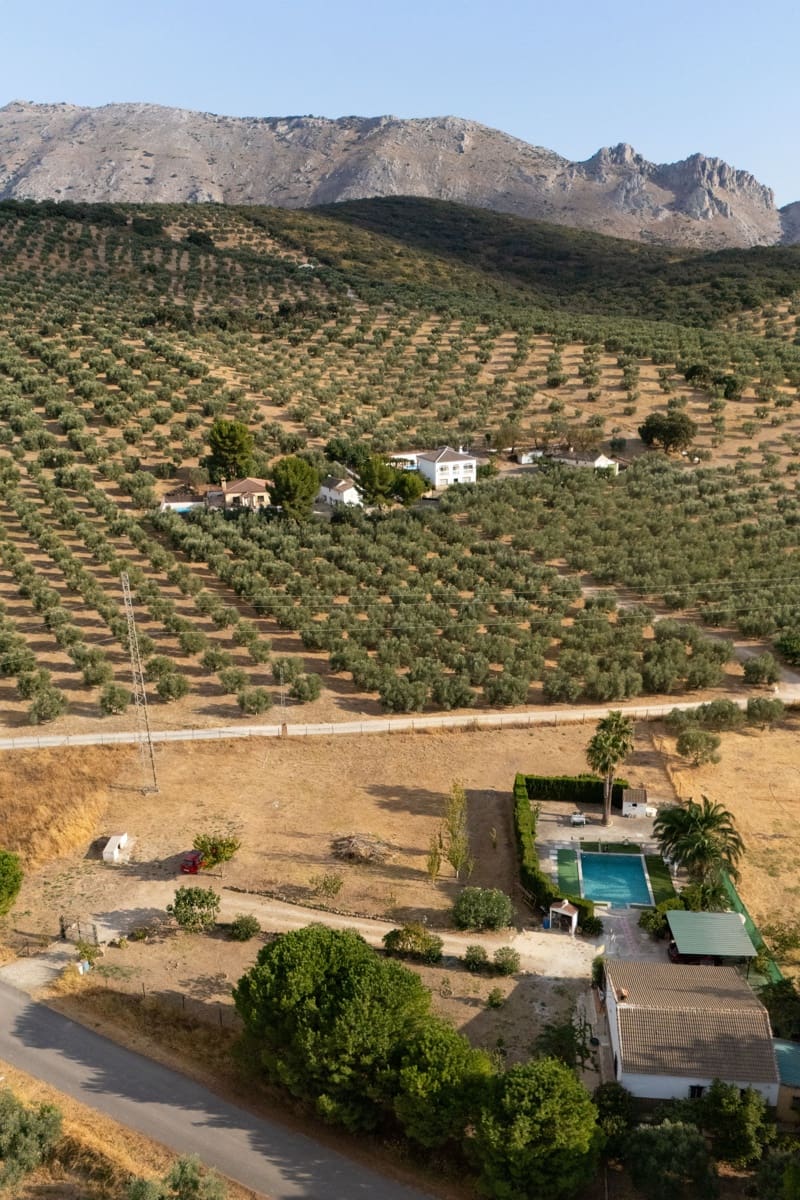 Finca/Casa Rural de 3 habitaciones en Antequera en venta con piscina garaje - 395.000 € (Ref: 10100096)
