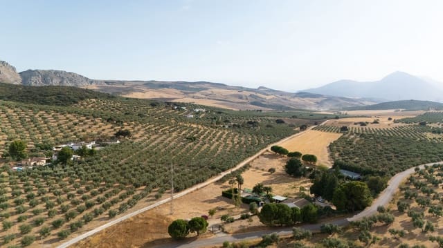 Finca/Casa Rural de 3 habitaciones en Antequera en venta con piscina garaje - 395.000 € (Ref: 10100096)