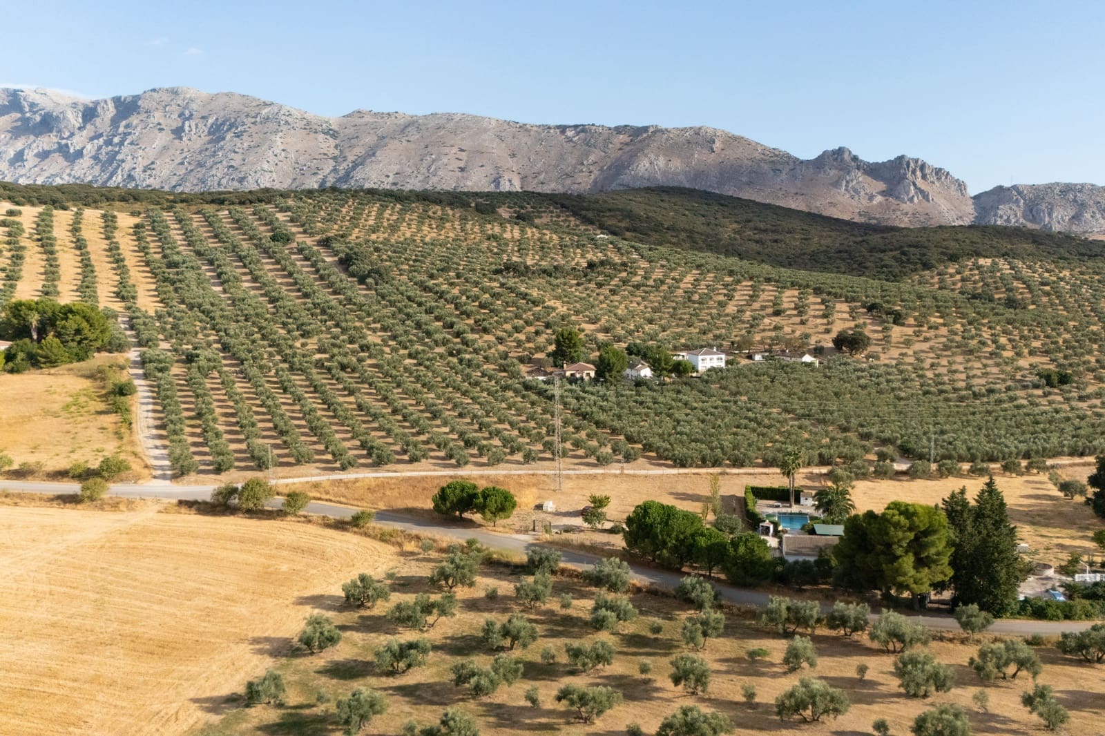 Finca/Casa Rural de 3 habitaciones en Antequera en venta con piscina garaje - 395.000 € (Ref: 10100096)
