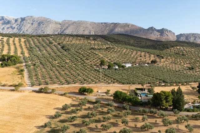 Finca/Casa Rural de 3 habitaciones en Antequera en venta con piscina garaje - 395.000 € (Ref: 10100096)