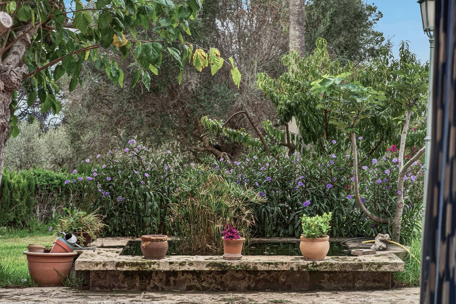 5 slaapkamer Huis te koop in Vilafranca de Bonany met zwembad garage - € 2.100.000 (Ref: 10182458)