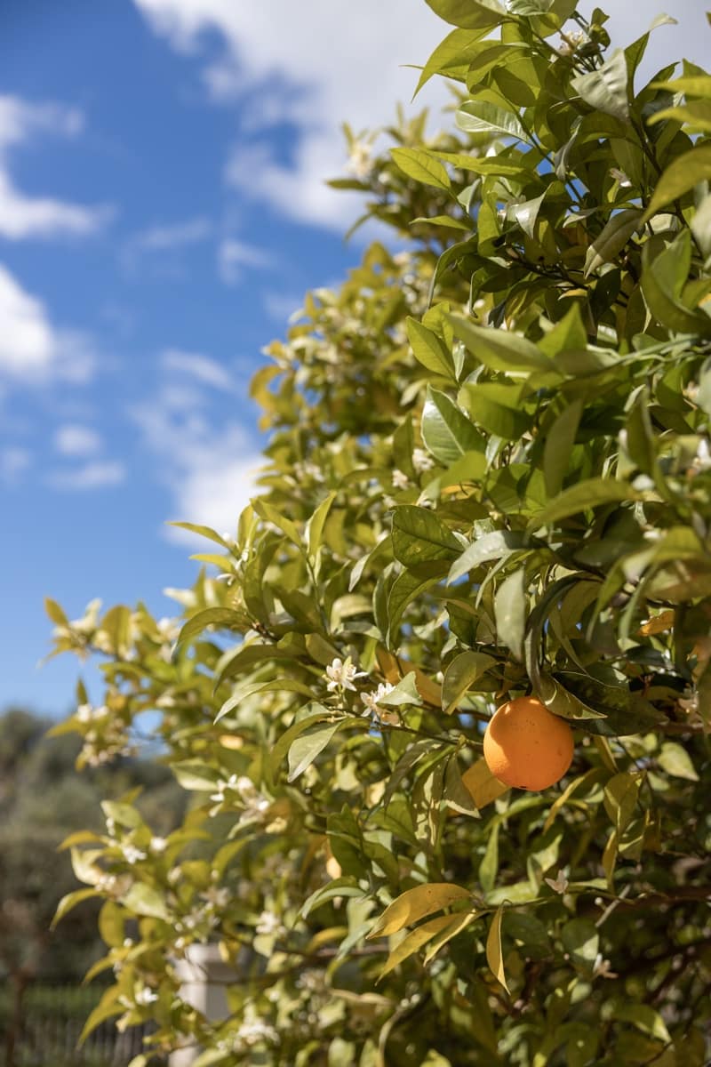 10 soveværelse Villa til salg i Benahavis med swimmingpool - € 11.800.000 (Ref: 6794291)