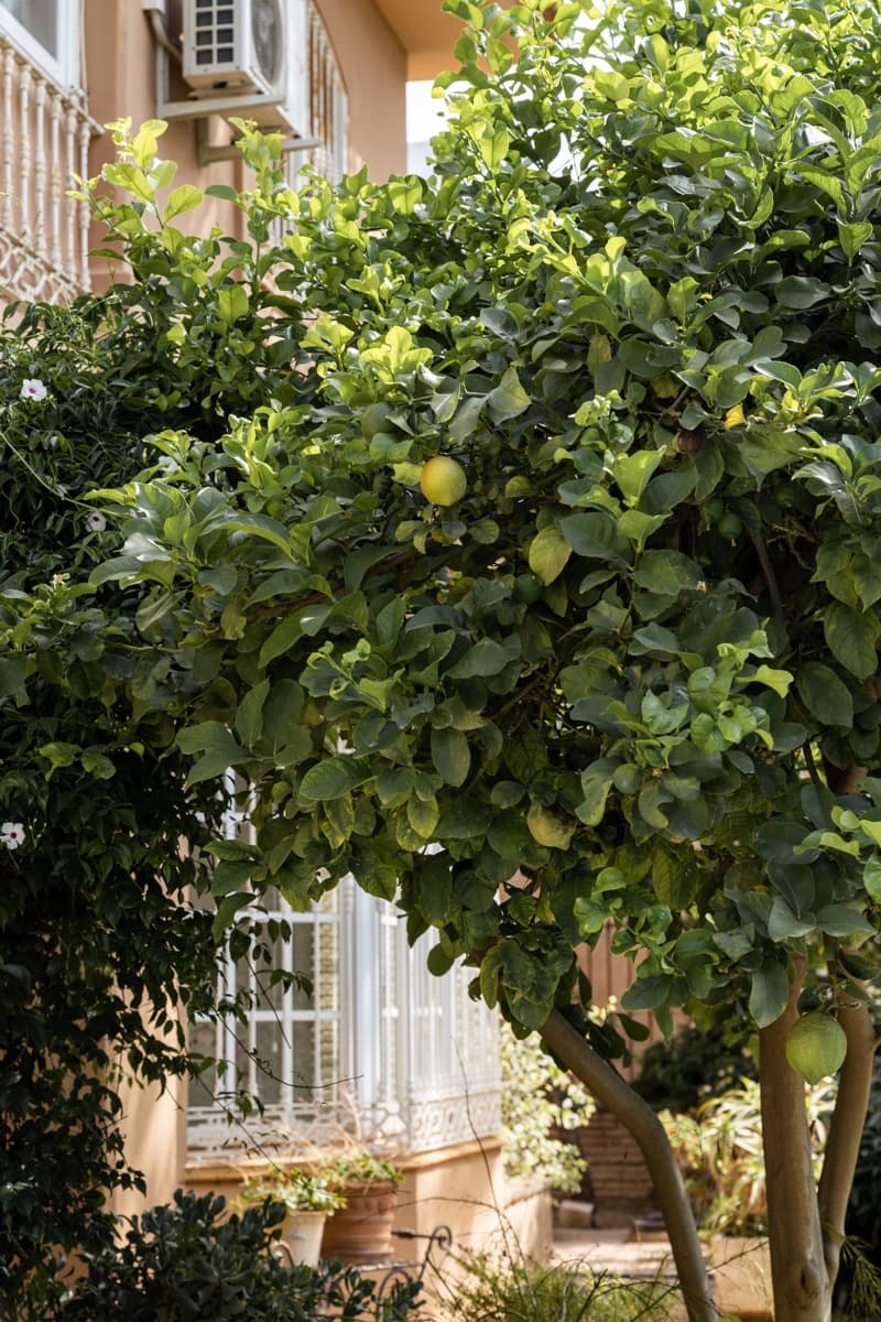 4 bedroom Villa for sale in Mijas Costa with pool - € 1,099,000 (Ref: 6920110)