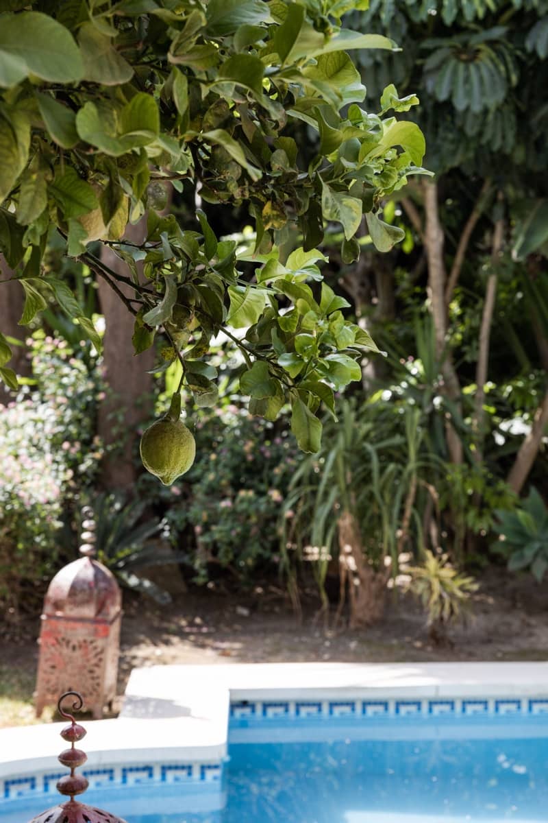 4 bedroom Villa for sale in Mijas Costa with pool - € 1,099,000 (Ref: 6920110)