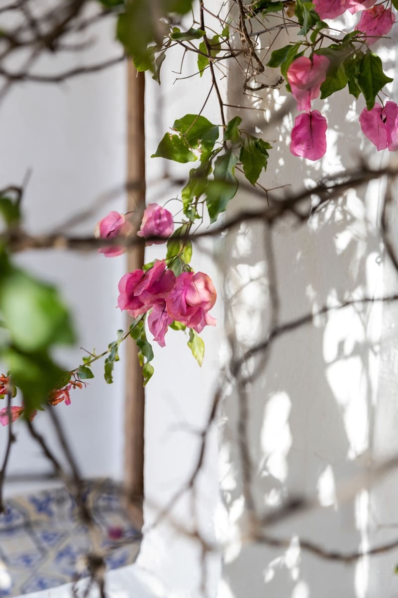 7 slaapkamer Villa te koop in Torrox met zwembad - € 880.000 (Ref: 7470591)