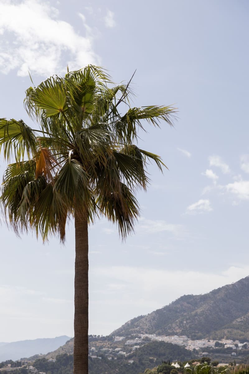 4 bedroom Villa for sale in Mijas Costa with pool - € 2,900,000 (Ref: 7578152)