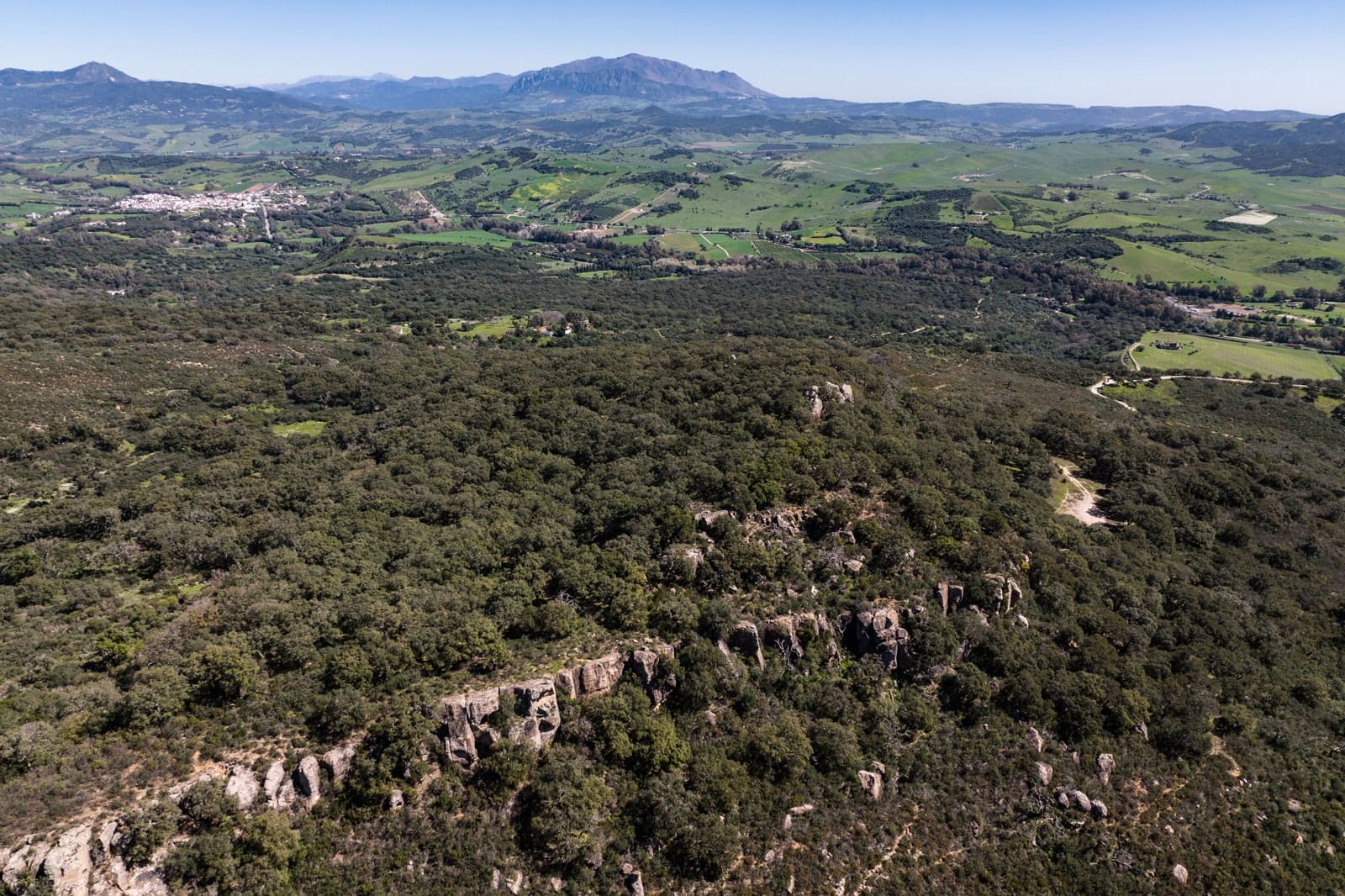 9 camera da letto Finca/Casa di Campagna in vendita in Jimena de la Frontera - 3.290.000 € (Rif: 7623354)