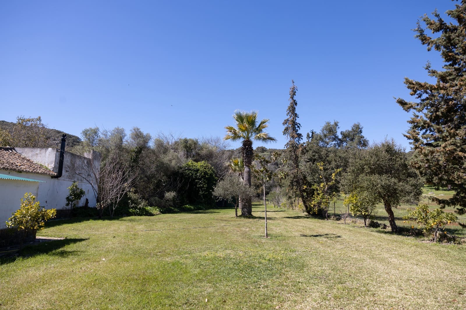 9 camera da letto Finca/Casa di Campagna in vendita in Jimena de la Frontera - 3.290.000 € (Rif: 7623354)
